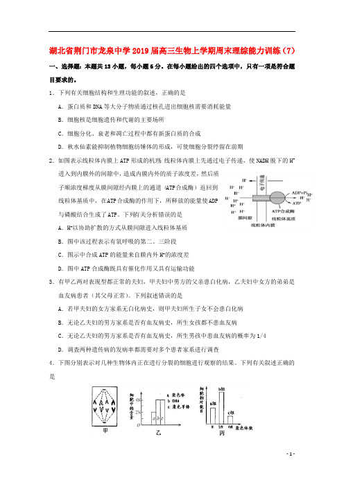 湖北省荆门市龙泉中学2019届高三生物上学期周末理综能力训练(7)