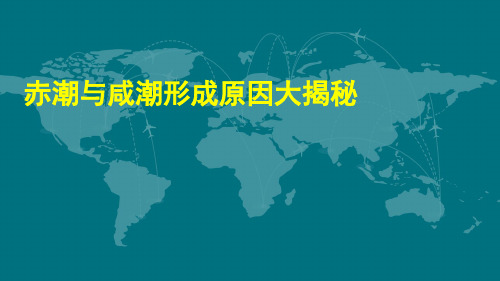 2020年高考地理专题复习：赤潮和咸潮形成原因大揭秘(共14张PPT)