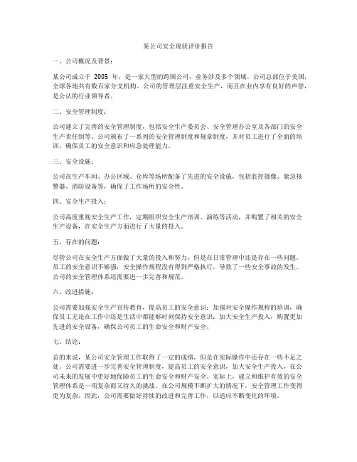 某公司安全现状评价报告