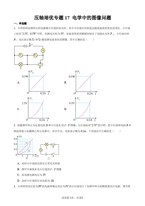 压轴培优专题 电学中的图像问题 2024年中考物理压轴题培优专题精练(原卷版) 