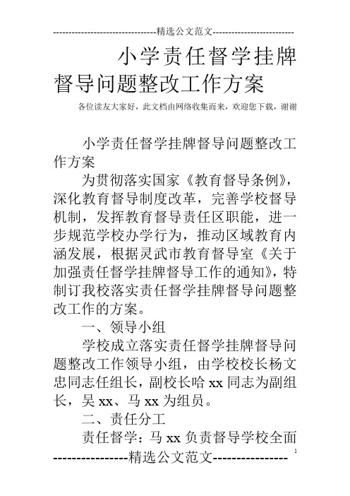 小学责任督学挂牌督导问题整改工作方案