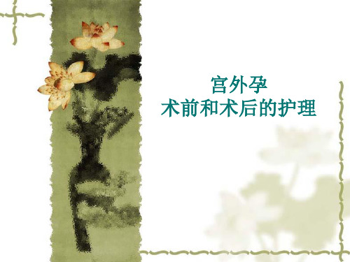 宫外孕PPT课件