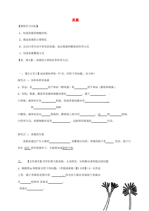 八年级生物上册 5.4.3真菌导学案(无答案)(新版)新人教版