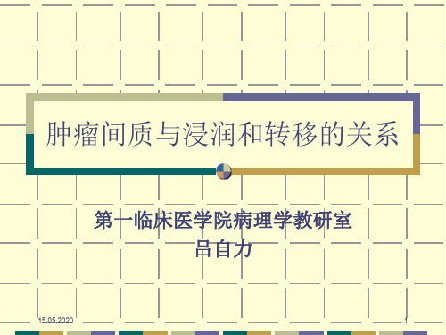 病理学-肿瘤间质与浸润和转移的关系PPT精选文档