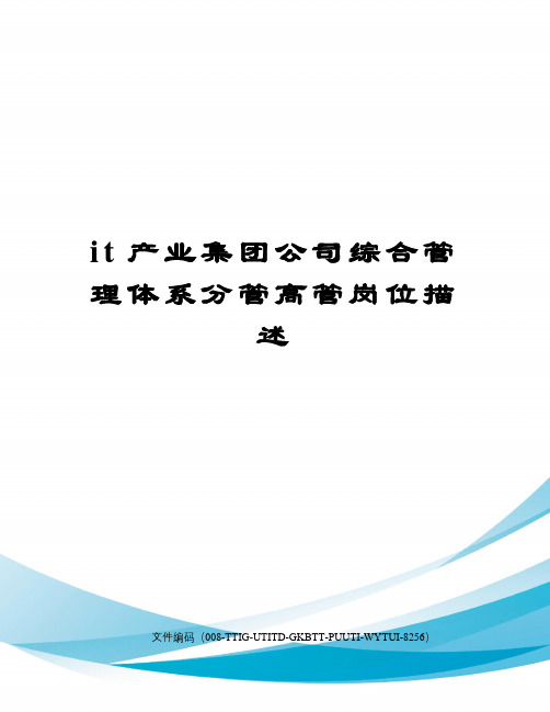 it产业集团公司综合管理体系分管高管岗位描述