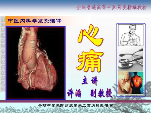 心痛分析课件