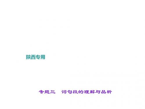 2017中考语文(陕西)总复习现代文阅读第二讲 专题三 词句段的理解与品析