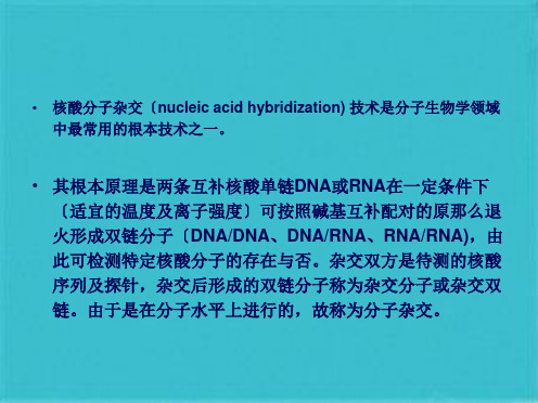 第二章 核酸分子杂交 - 副本(共94张PPT)