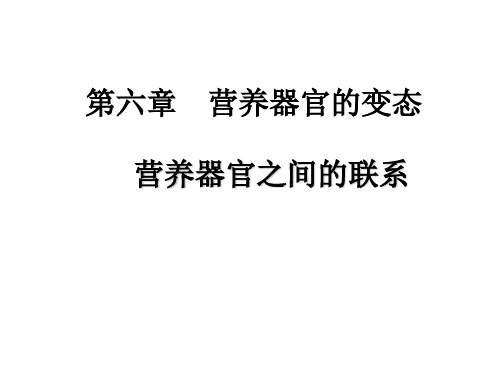 第六章 营养器官的变态及关系