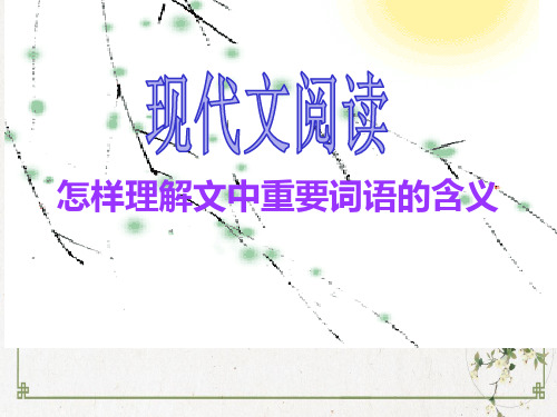 高考一轮复习《现代文阅读-怎样理解文中重要词语的含义》PPT课件