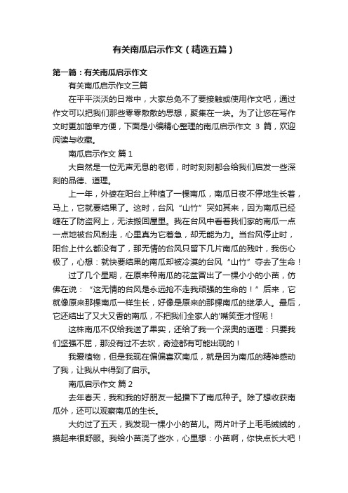 有关南瓜启示作文（精选五篇）