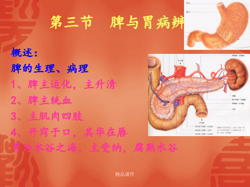 中医诊断学 第五章 脏腑辨证(三 脾与胃)ppt课件