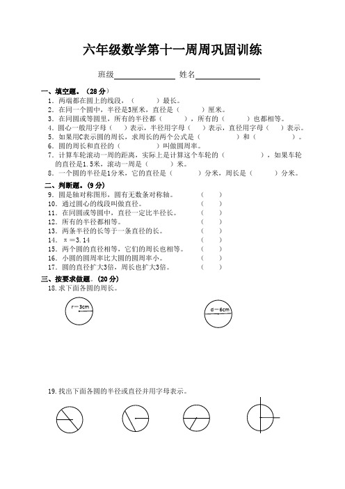 人教版六年级上册数学第十一周周巩固训练