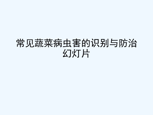 常见蔬菜病虫害的识别与防治幻灯片