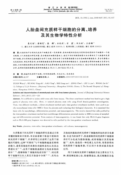 人胎盘间充质样干细胞的分离、培养及其生物学特性分析