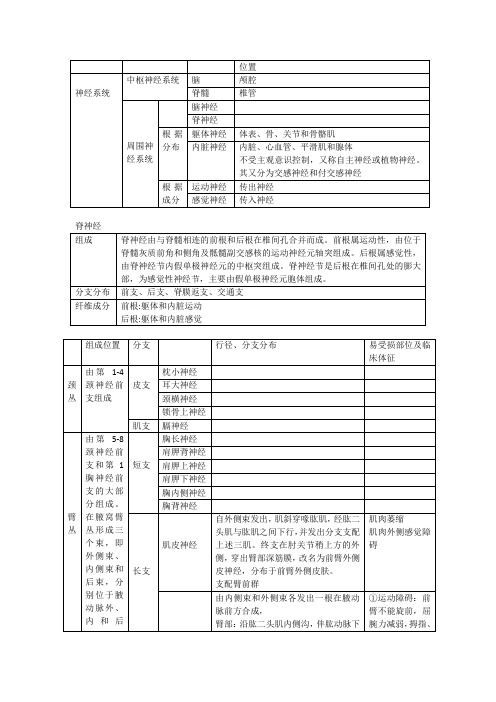 解剖学 神经系统 复习总结