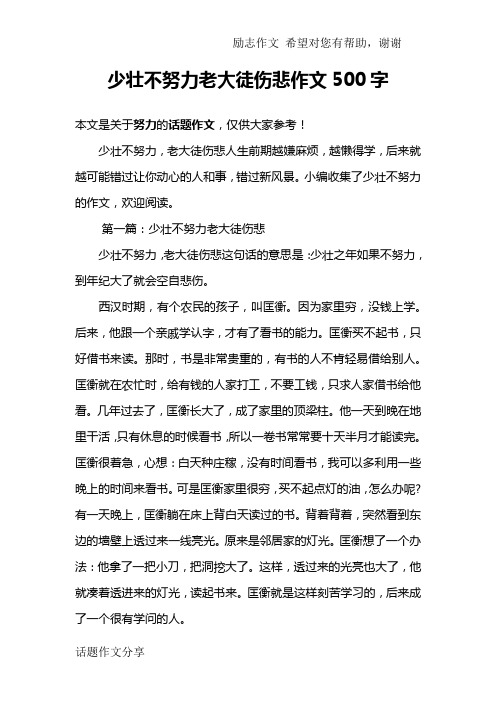 少壮不努力老大徒伤悲作文500字