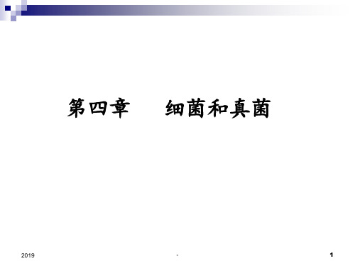 最新人教版八年级上册生物课件第四章第一节细菌和真菌的分布ppt课件