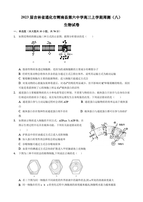 2023届吉林省通化市辉南县第六中学高三上学期周测(八)生物试卷