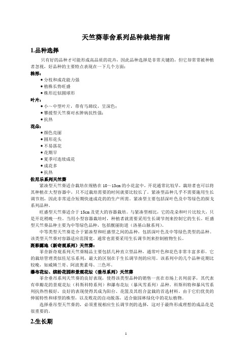 天竺葵菲舍系列品种栽培指南