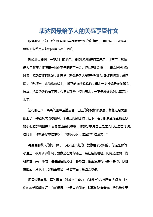 表达风景给予人的美感享受作文