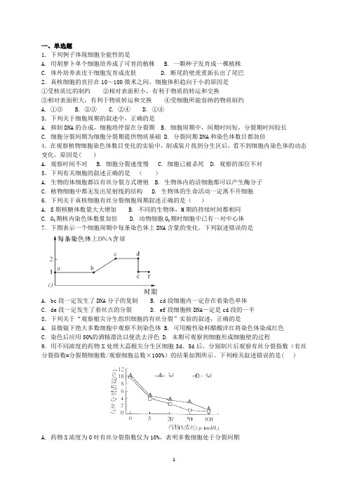 有丝分裂练习