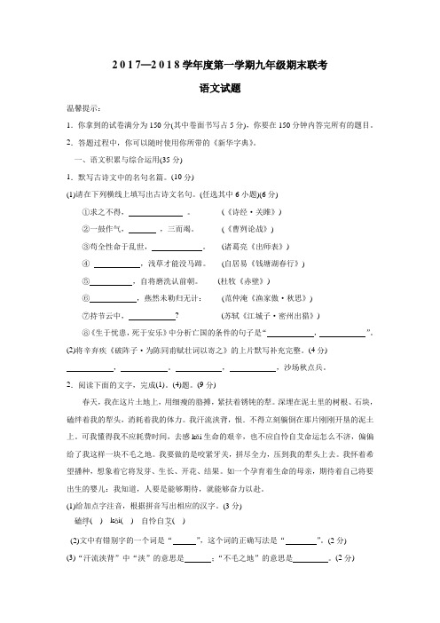 安徽省阜阳市第九中学2018届九年级上学期期末考试语文试题(附答案)$828494