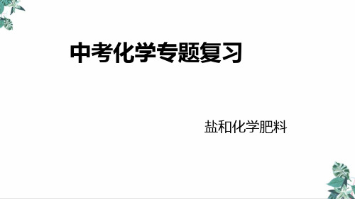 (新)中考化学复习盐、化肥公开课PPT(29张)