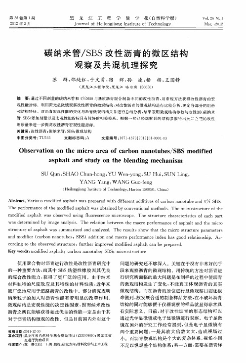 碳纳米管／SBS改性沥青的微区结构观察及共混机理探究