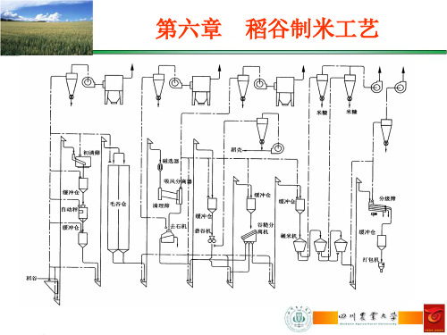 稻谷制米工艺