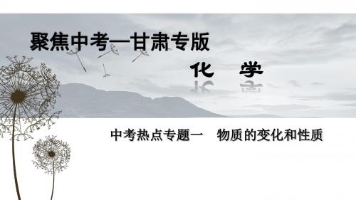 【聚焦中考】考点复习聚焦第1讲-物质的变化和性质