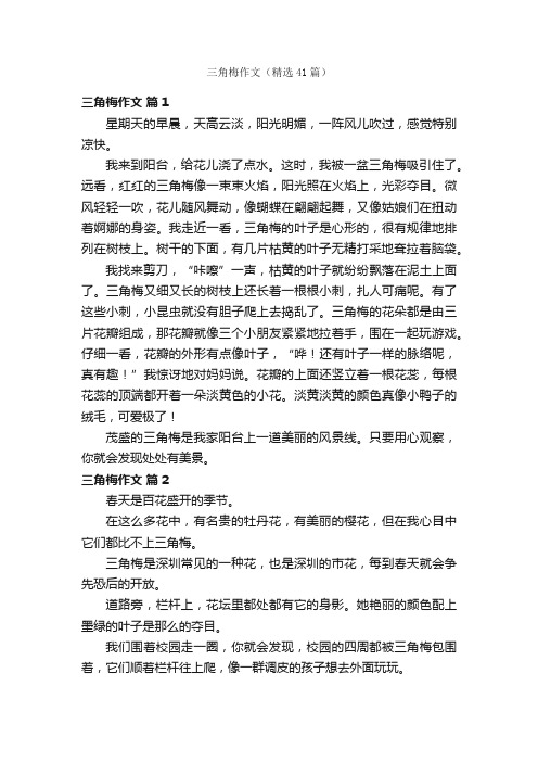 三角梅作文(精选41篇)