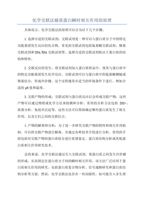 化学交联法捕获蛋白瞬时相互作用的原理