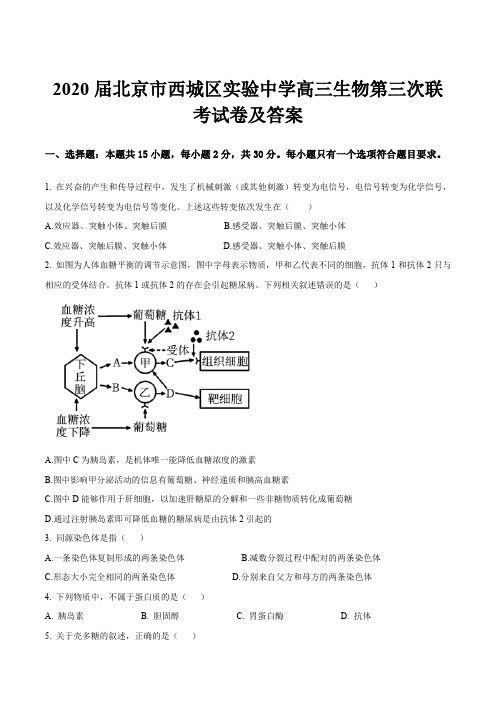 2020届北京市西城区实验中学高三生物第三次联考试卷及答案