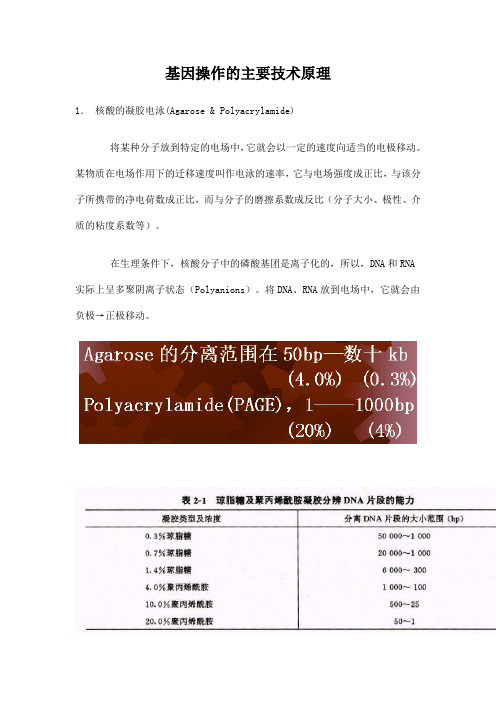 基因操作的主要技术原理