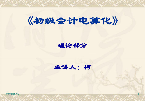 初级会计电算化培训资料
