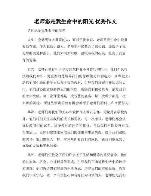 老师您是我生命中的阳光 优秀作文