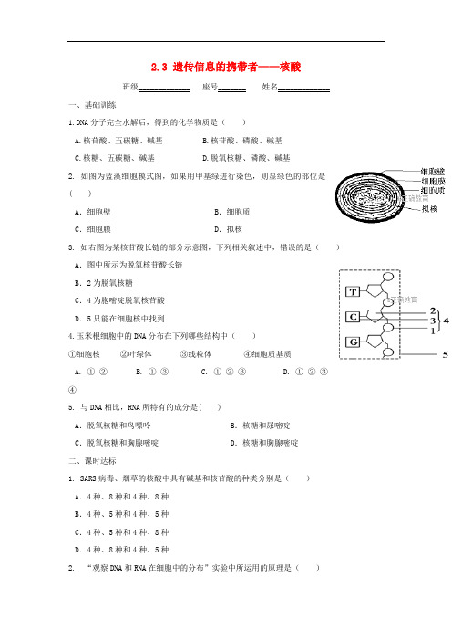 福建省莆田市高中2017-2018学年高一生物人教版必修1校本作业：2.3 遗传信息的携带者__核酸