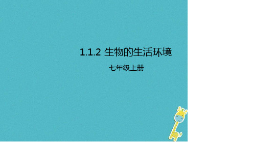 七年级生物上册112生物的生活环境课件新版济南版