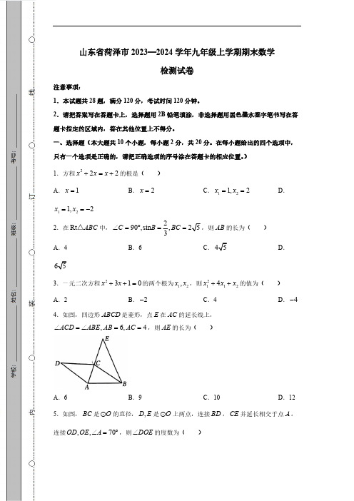 山东省菏泽市2023-2024学年九年级上学期期末数学检测试卷(有答案)