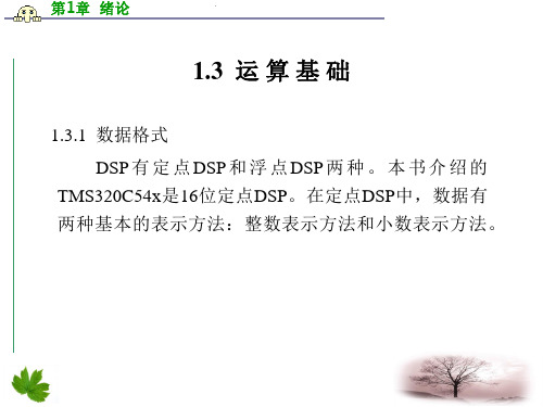 1.3DSP原理及运用运算基础