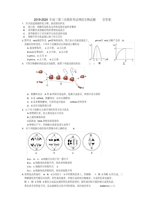 2019-2020年高三第三次模拟考试理综生物试题含答案