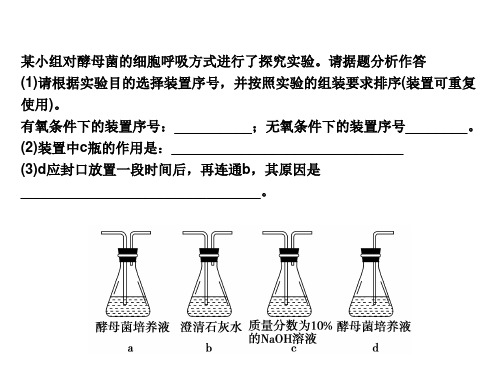 呼吸作用习题