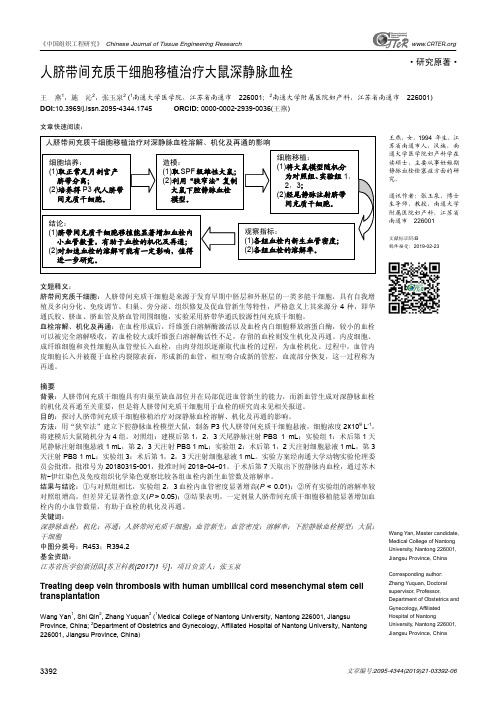 人脐带间充质干细胞移植治疗大鼠深静脉血栓