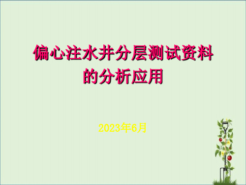 分层注水资料的分析应用剖析