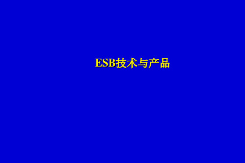 11.ESB技术与产品