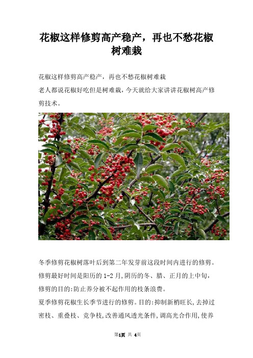 花椒这样修剪高产稳产，再也不愁花椒树难栽