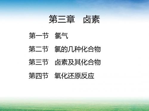 第三章 卤素