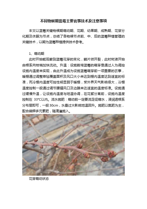 不同物候期蓝莓主要农事技术及注意事项