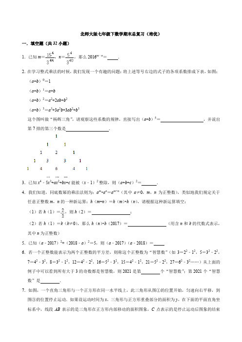 北师大版七年级下数学期末总复习